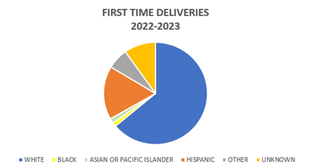 pie chart titled: First Time Deliveries 2022-2023